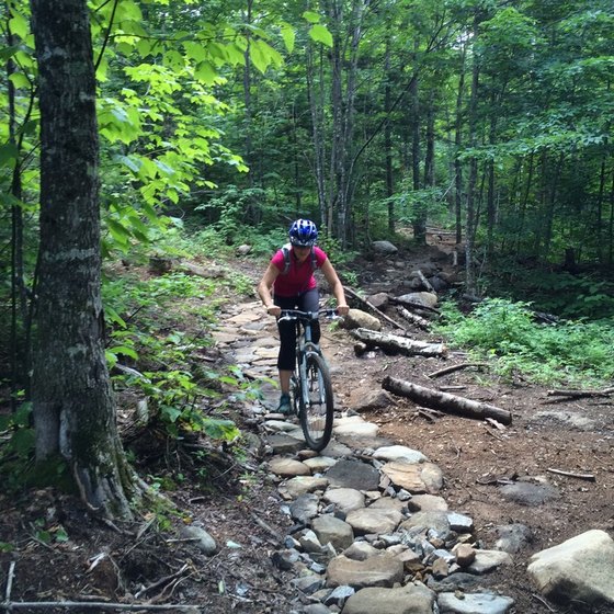Mountain biker on a rocky forest trail