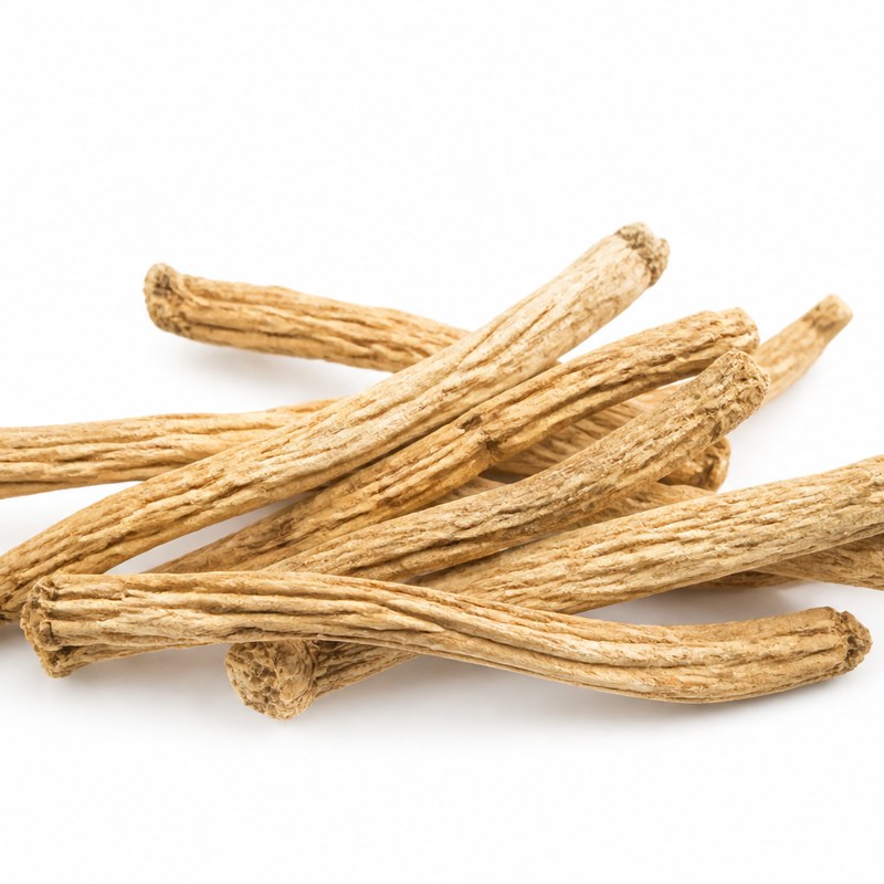 Codonopsis root
